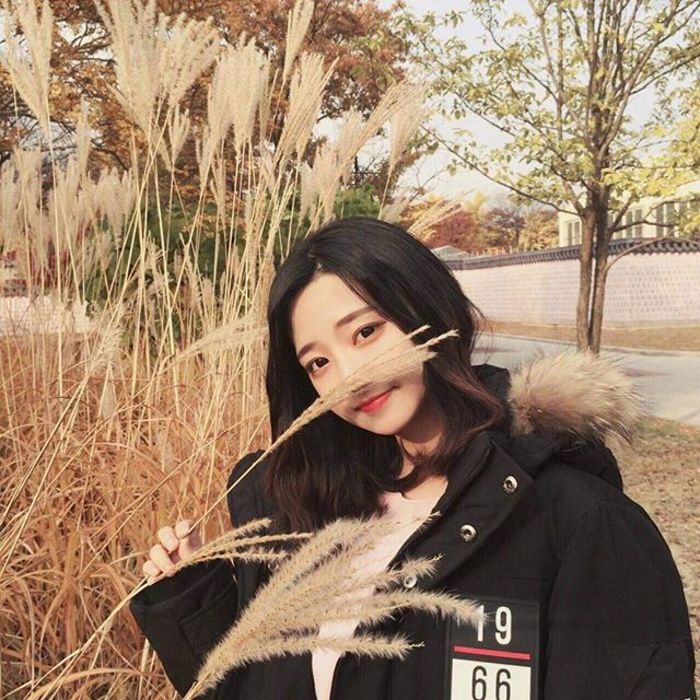 永野芽郁（饰 三条燕） - 经典老电影高清在线观看 - 网络视频